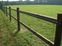 doorsteek rond pantanet-007.jpg
Klik op de foto voor vergroting